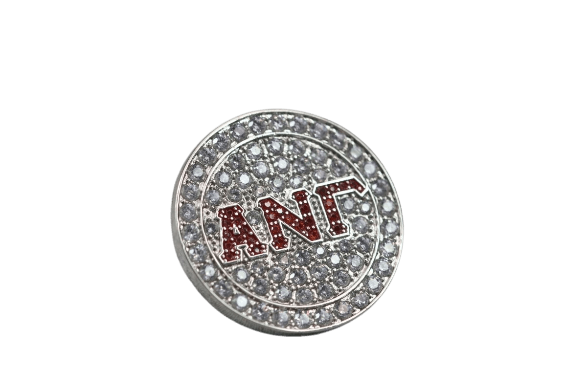 Alpha Nu Gamma Lapel Pin - PREMIUM Alumni Pin, Shine Series - fratrings