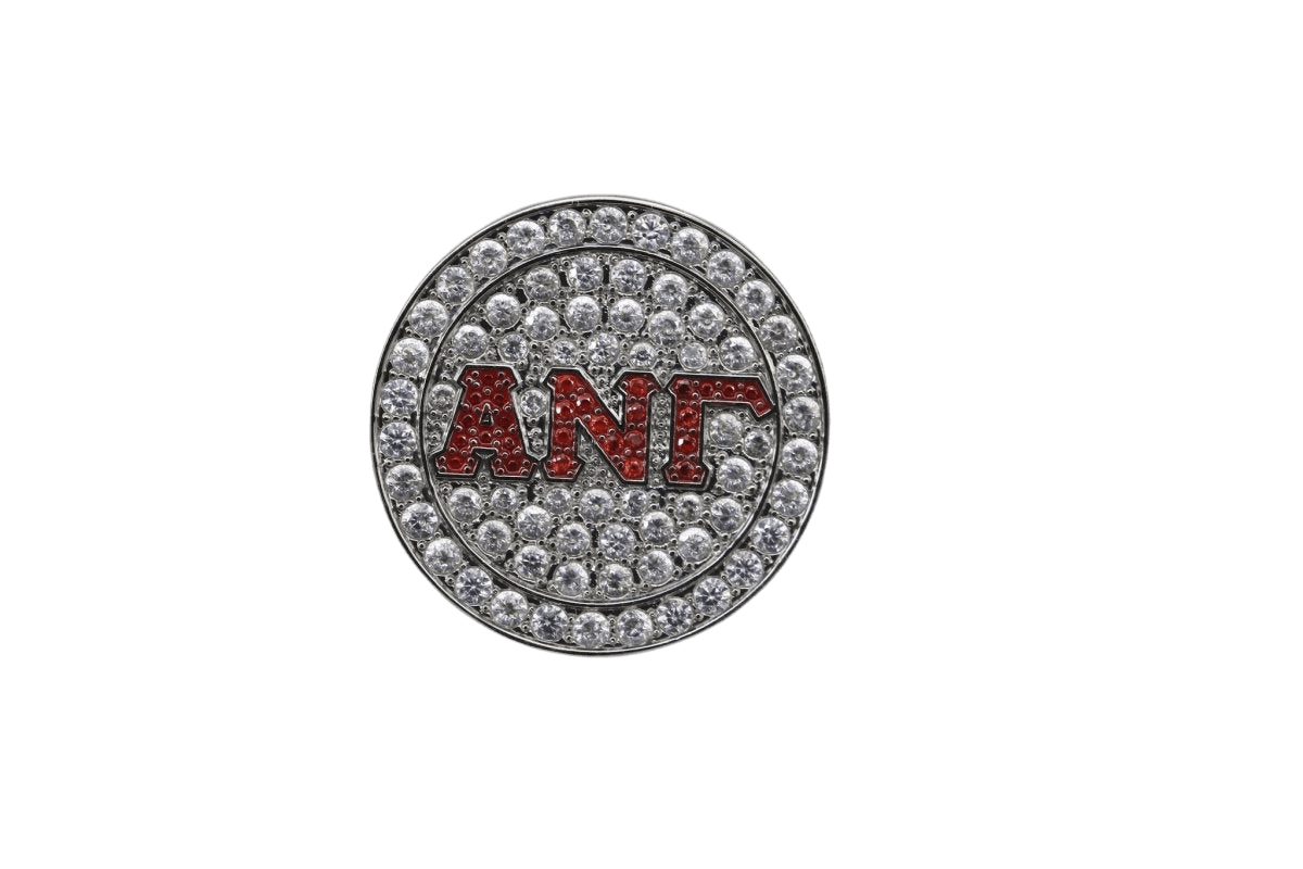 Alpha Nu Gamma Lapel Pin - PREMIUM Alumni Pin, Shine Series - fratrings