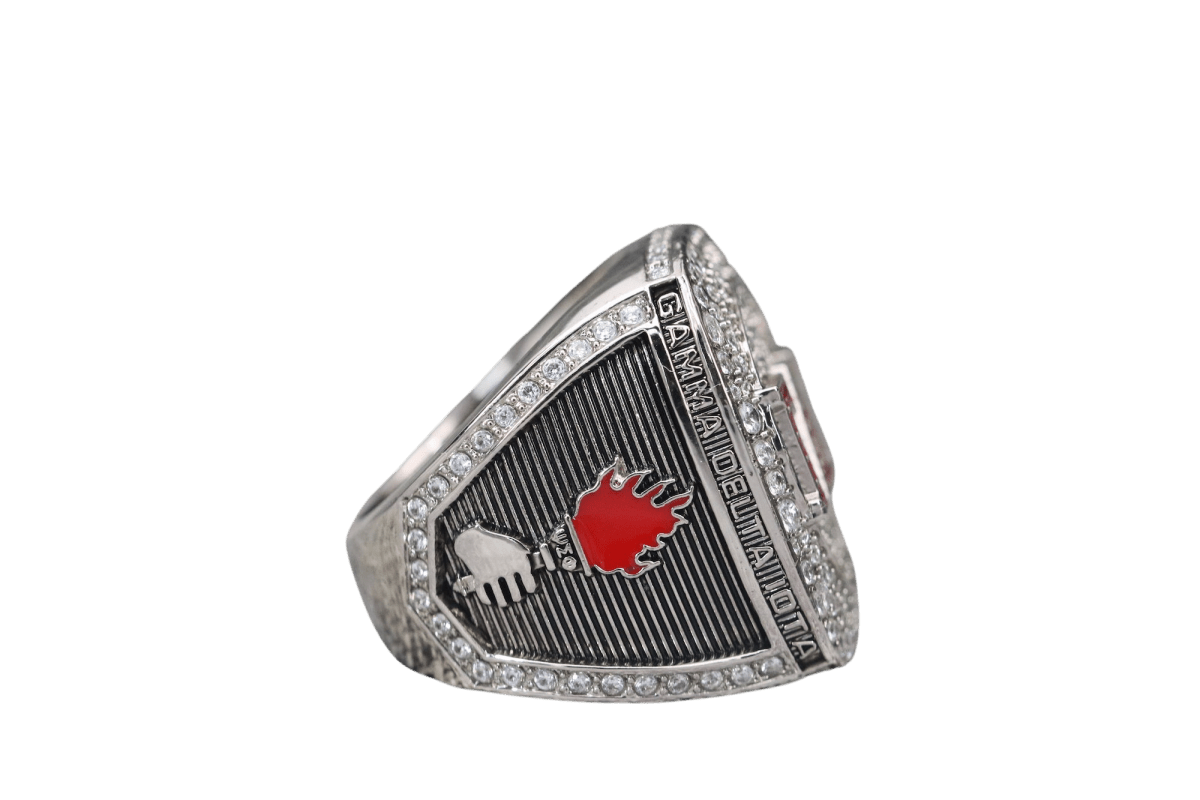 Gamma Delta Iota Fraternity Ring (ΓΔI) - Shine Series, Silver - fratrings
