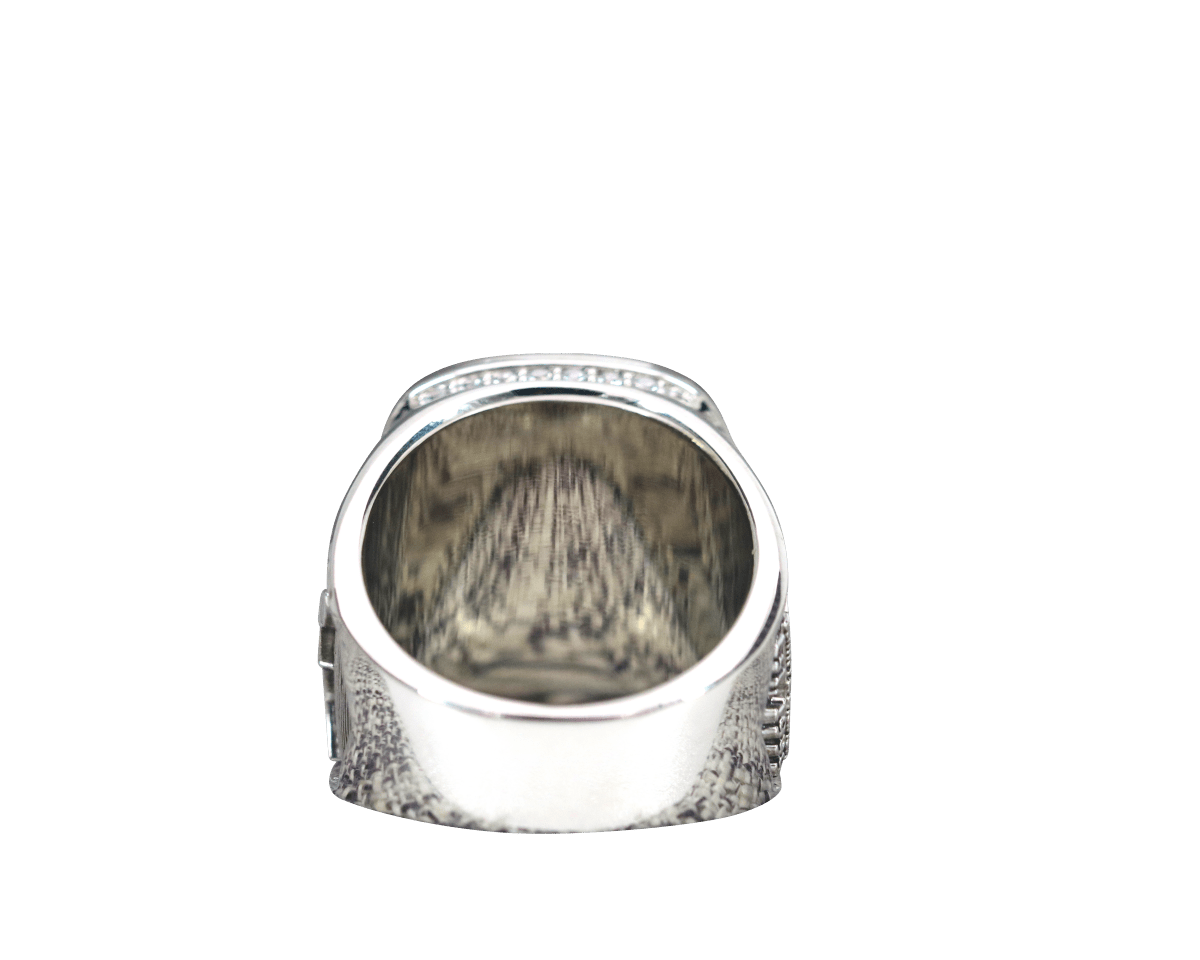 Delta Psi Epsilon Sorority Ring (ΔΨE) - Shine Series, Silver - fratrings