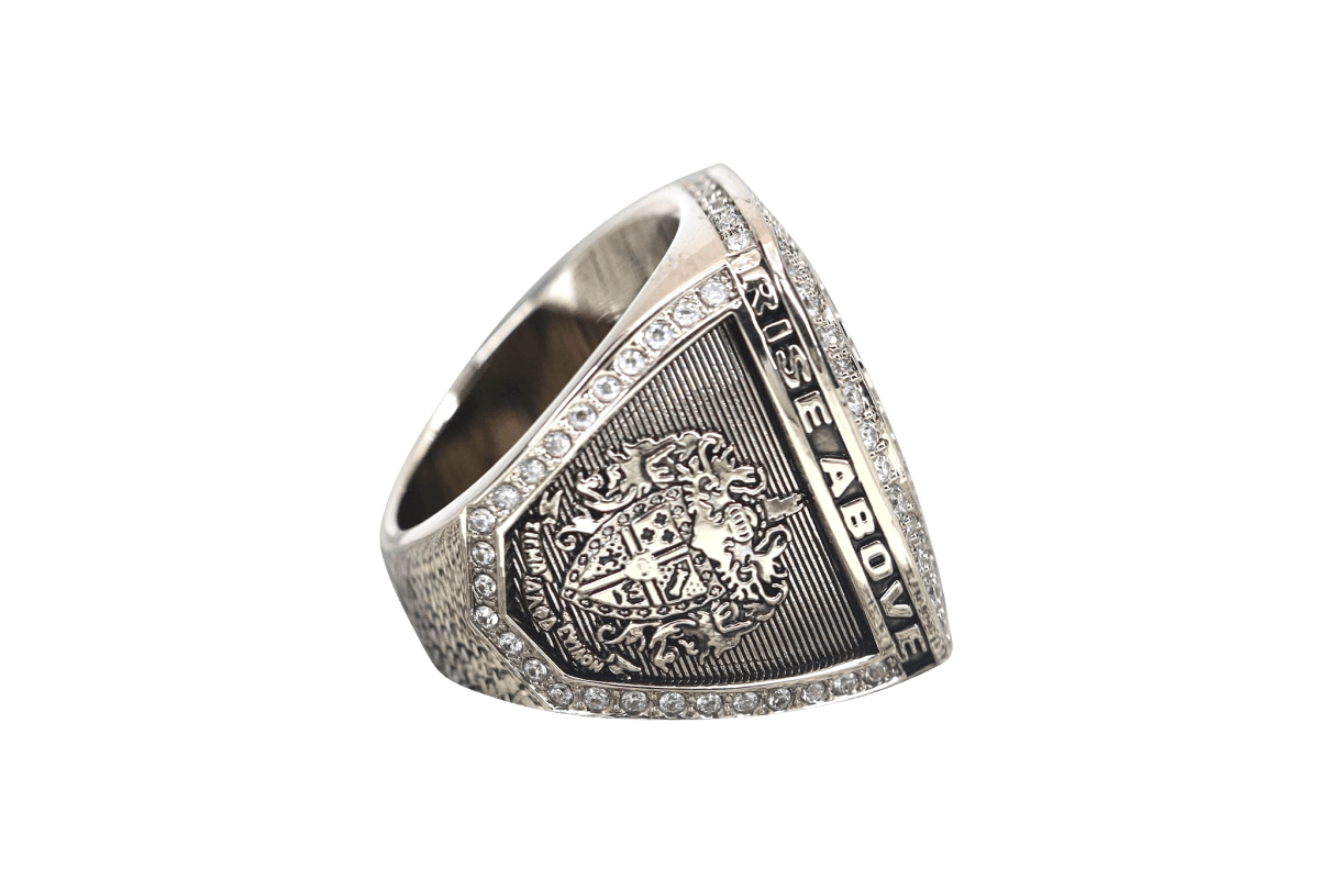 Sigma Alpha Epsilon Fraternity Ring (ΣΑΕ) - Shine Series, Silver - fratrings
