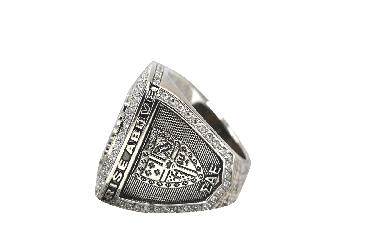 Sigma Alpha Epsilon Fraternity Ring (ΣΑΕ) - Shine Series, Silver - fratrings