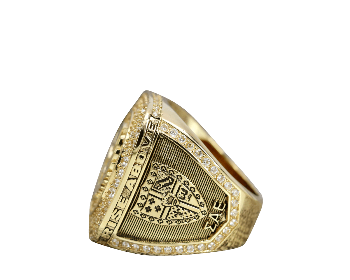 Sigma Alpha Epsilon Fraternity Ring (ΣΑΕ) - Shine Series, Yellow Gold - fratrings