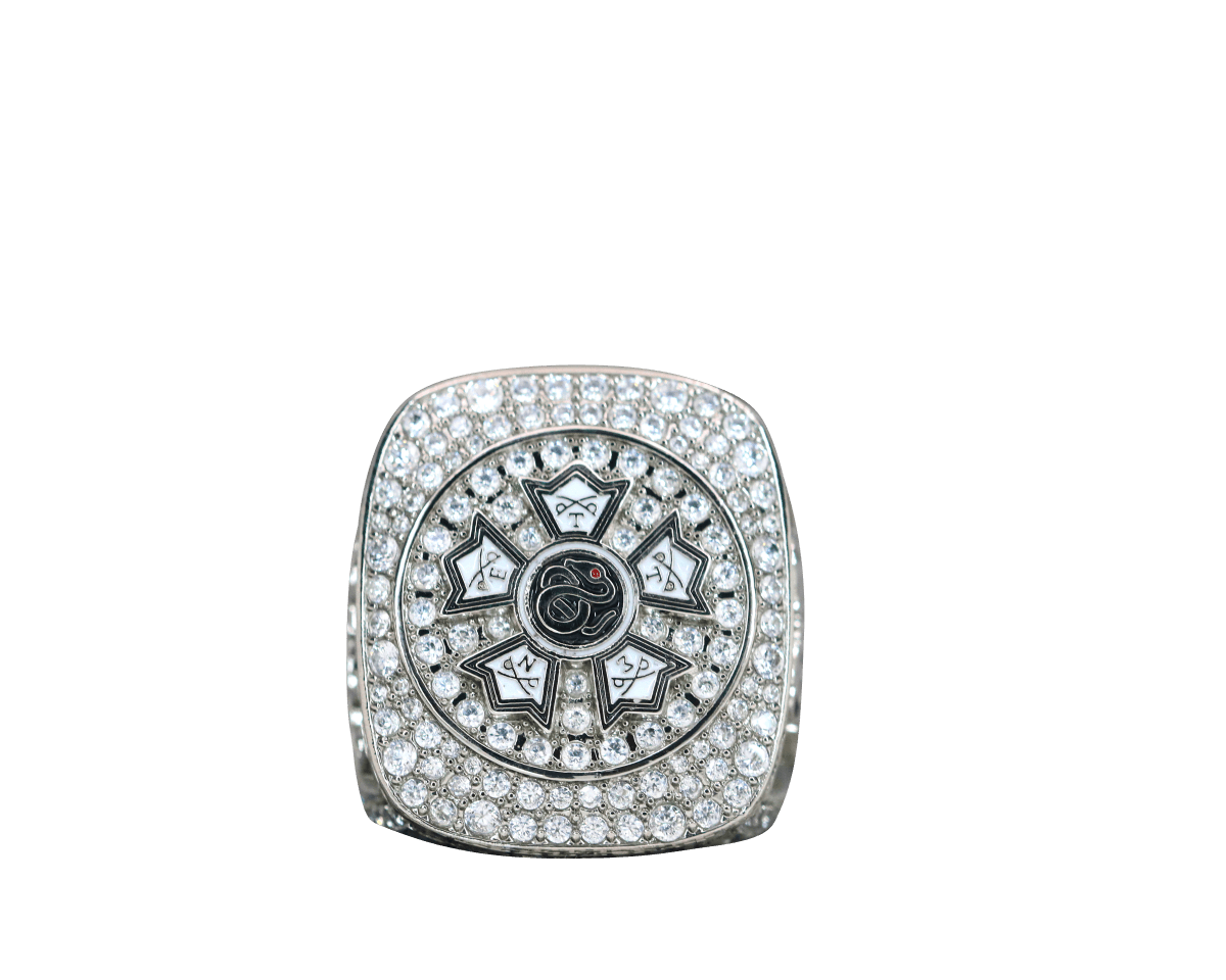 Sigma Nu Fraternity Ring (ΣΝ) - Shine Series, Silver - fratrings
