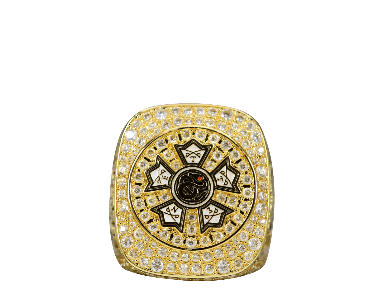Sigma Nu Fraternity Ring Yellow Gold (ΣΝ) - Shine Series - fratrings