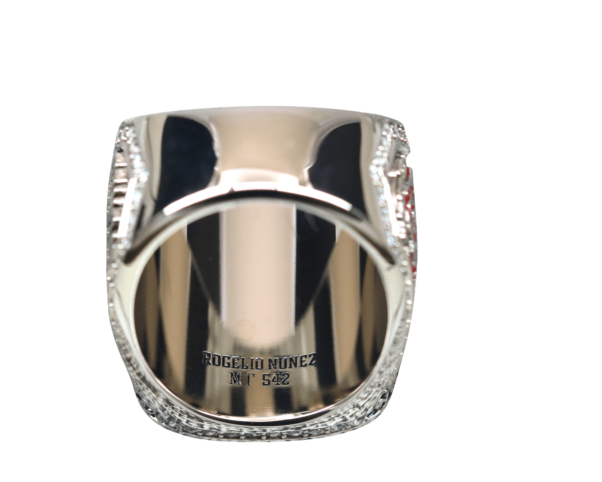 Tau Kappa Epsilon Fraternity Ring (ΤΚΕ) - Shine Series, Silver - fratrings