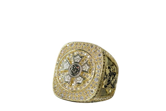 Sigma Nu Fraternity Ring (ΣΝ) - Shine Series, Gold - fratrings