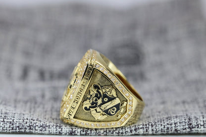 Sigma Nu Fraternity Ring (ΣΝ) - Shine Series, Gold - fratrings