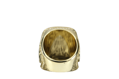 Sigma Nu Fraternity Ring (ΣΝ) - SPECIAL EDITION Shine Series, Gold - fratrings