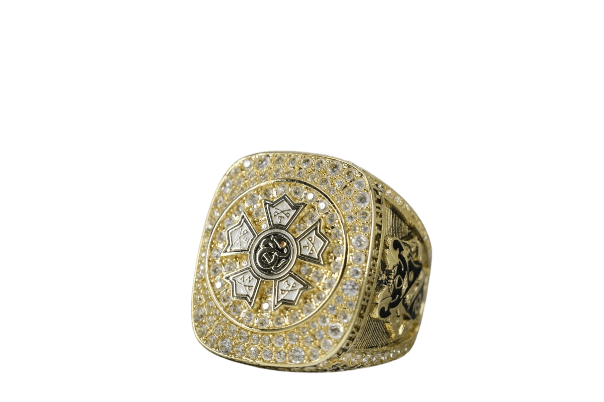 Sigma Nu Fraternity Ring (ΣΝ) - SPECIAL EDITION Shine Series, Gold - fratrings