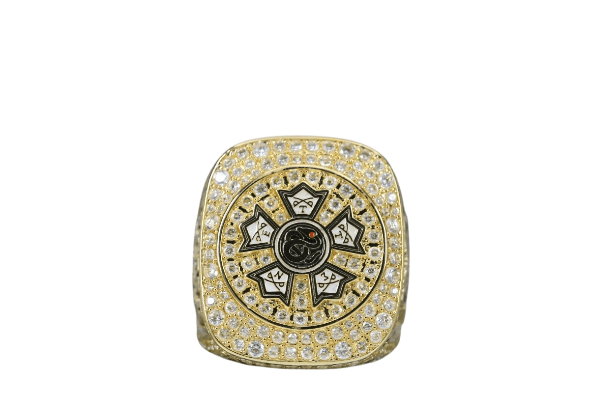 Sigma Nu Fraternity Ring (ΣΝ) - SPECIAL EDITION Shine Series, Gold - fratrings