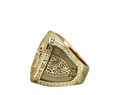 Sigma Alpha Epsilon Fraternity Ring Yellow Gold (ΣΑΕ) - Shine Series - fratrings