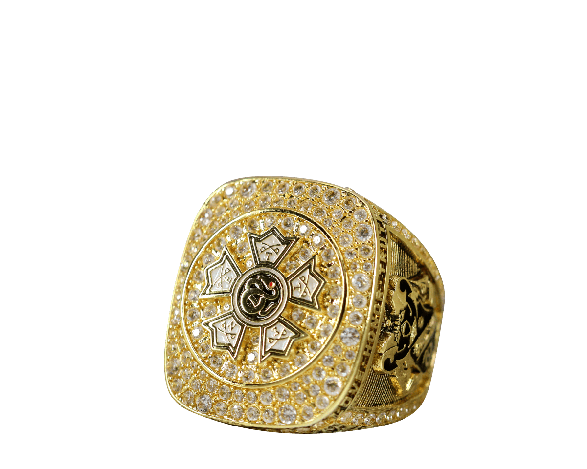 Sigma Nu Fraternity Ring Yellow Gold (ΣΝ) - Shine Series - fratrings