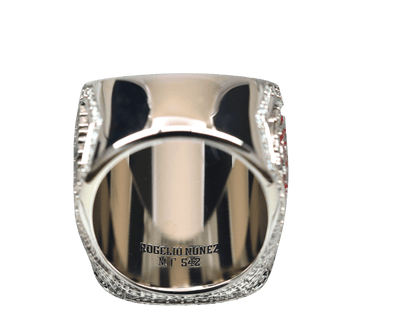 Tau Kappa Epsilon Fraternity Ring (ΤΚΕ) - Shine Series, Silver