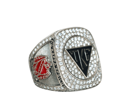 Tau Kappa Epsilon Fraternity Ring (ΤΚΕ) - Shine Series, Silver